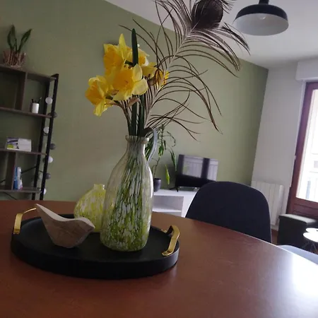 Meuble Du Plateau - Centre Gare Tgv Appartement Nancy