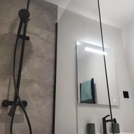 Meuble Du Plateau - Centre Gare Tgv Appartement Nancy