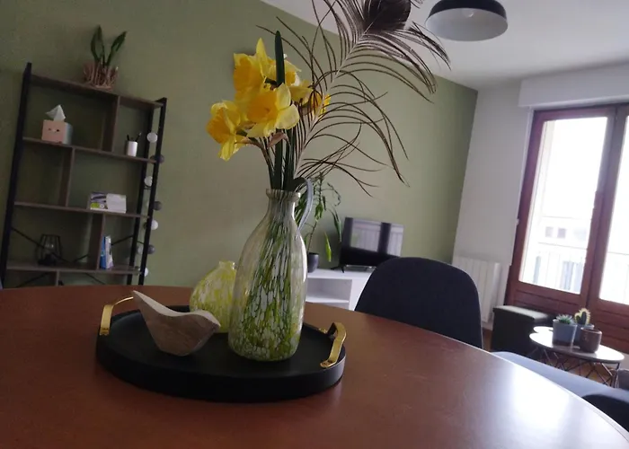 Meuble Du Plateau - Centre Gare Tgv Appartement Nancy