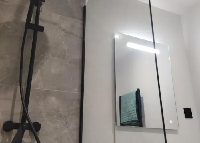 Meuble Du Plateau - Centre Gare Tgv Appartement Nancy