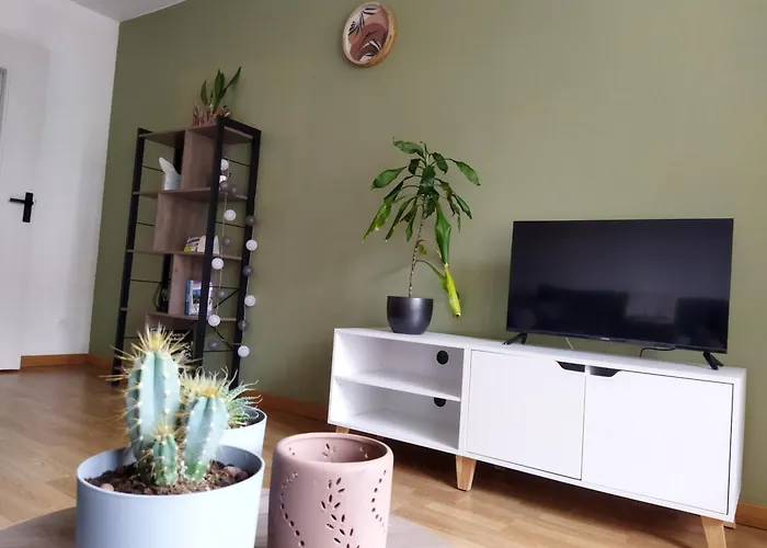 Meuble Du Plateau - Centre Gare Tgv * Nancy