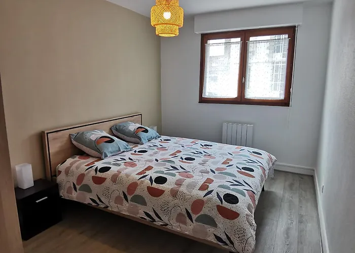 Meuble Du Plateau - Centre Gare Tgv Appartement *